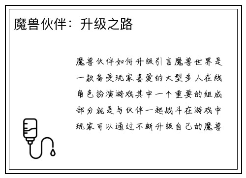 魔兽伙伴：升级之路