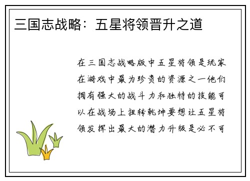 三国志战略：五星将领晋升之道